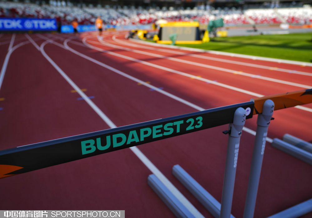 质和出色的 质和出色的