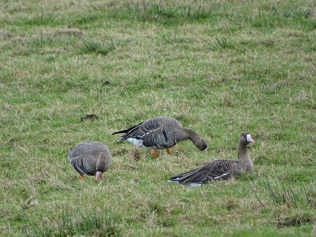 日益增加 日益增加