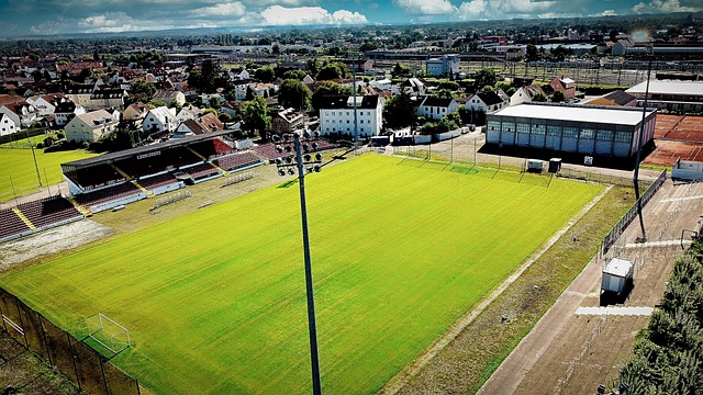 的经验分享 的经验分享