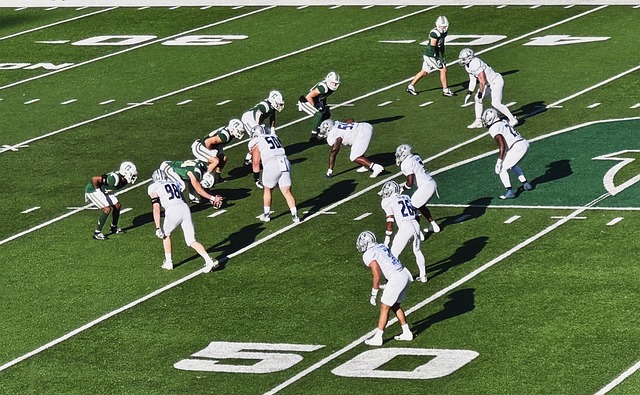 例的共同点 例的共同点