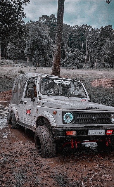 孙颖莎与王 孙颖莎与王