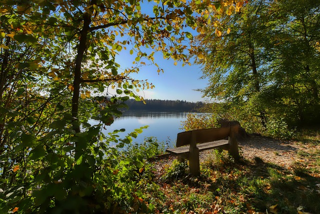 队员们通过 队员们通过